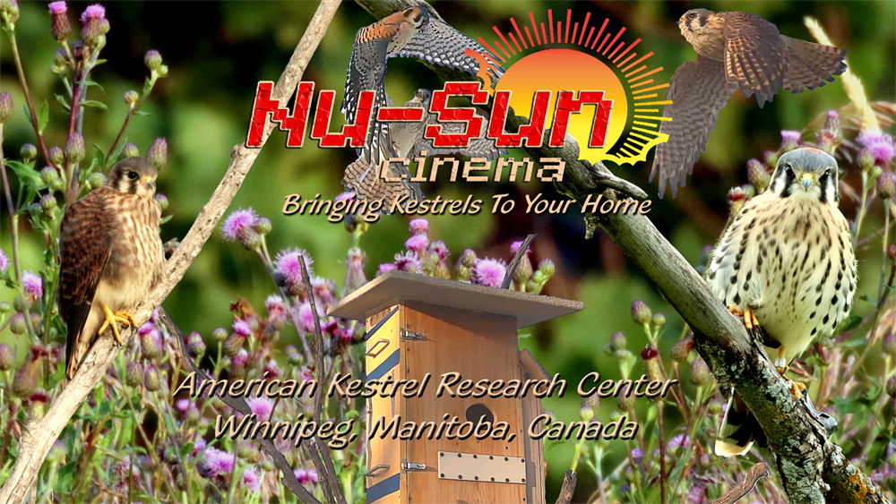 #1 FINNISHED U-TUBE 1000 x 563 JPG #1 FINNISHED U-TUBE 1000 x 563 JPG