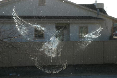 #2 EM ADJ IMG_5923 #2 EM ADJ IMG_5923