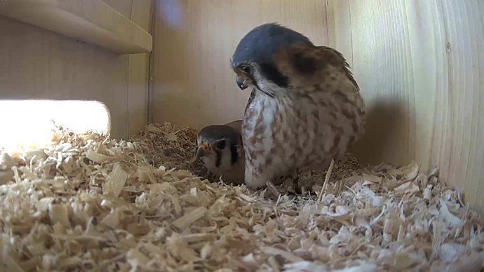 #2 MK & FK MAR 14, 2024