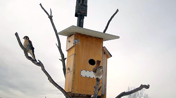 10 COP Sequence 01.Still038 10 COP Sequence 01.Still038