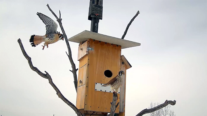 11 COP Sequence 01.Still028 11 COP Sequence 01.Still028