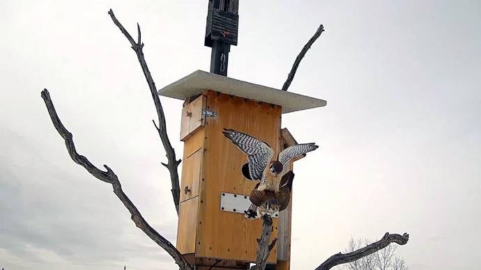 12 COP Sequence 01.Still033 12 COP Sequence 01.Still033