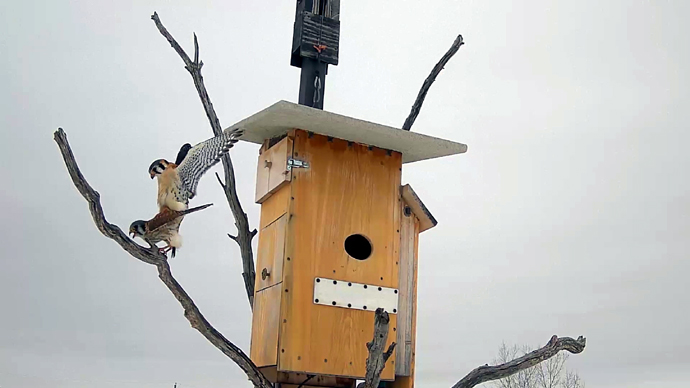 1 COP Sequence 01.Still027 1 COP Sequence 01.Still027