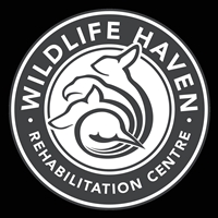 200 x 200 wildlife Haven_logo_black back jpg 200 x 200 wildlife Haven_logo_black back jpg