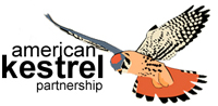 200 x 98 LOGO American Kestrel Partnership JPG 200 x 98 LOGO American Kestrel Partnership JPG