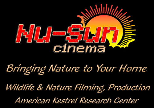 2023 NEW WEB LOGO JPG4 2023 NEW WEB LOGO JPG4