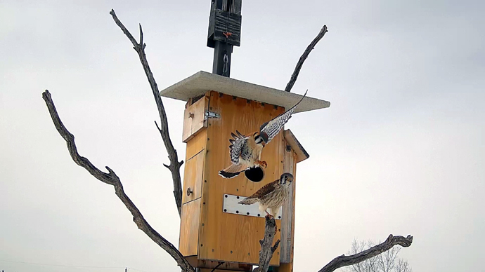 2 COP Sequence 01.Still029 2 COP Sequence 01.Still029