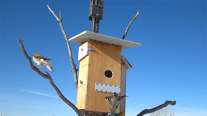 2 FK's Sequence 01.Still017 2 FK's Sequence 01.Still017