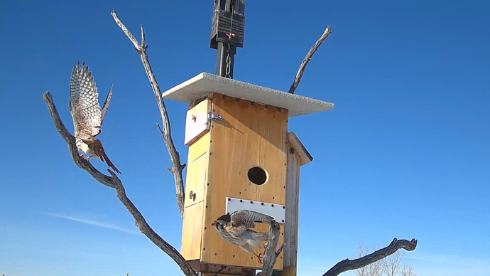 2 FK's Sequence 01.Still018 2 FK's Sequence 01.Still018