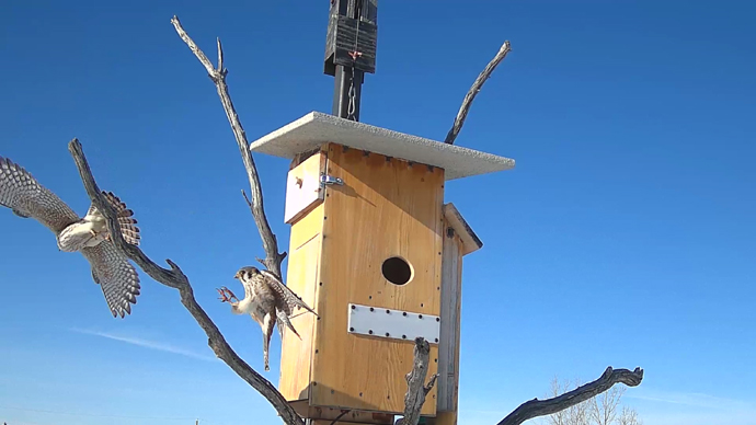 2 FK's Sequence 01.Still019 2 FK's Sequence 01.Still019