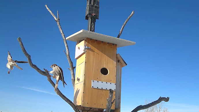 2 FK's Sequence 01.Still020 2 FK's Sequence 01.Still020