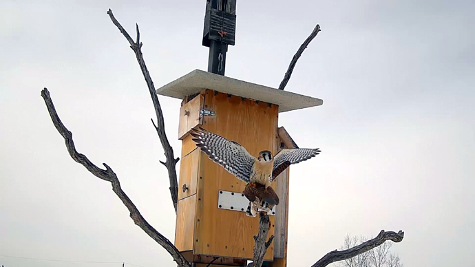 3 COP Sequence 01.Still030 3 COP Sequence 01.Still030