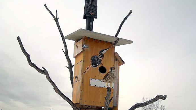 5 COP Sequence 01.Still032 5 COP Sequence 01.Still032