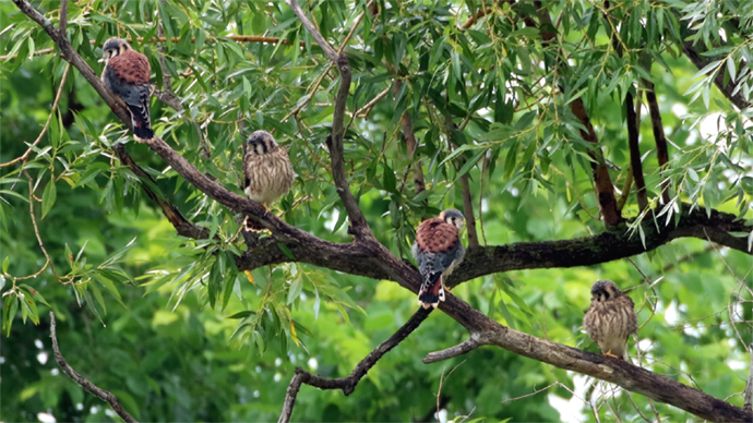 690 X 388  2 JFK 2 JMK Sequence 01.Still016