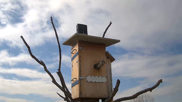 690 mx 388 ADJ 19 A Snapshot JPG 690 mx 388 ADJ 19 A Snapshot JPG