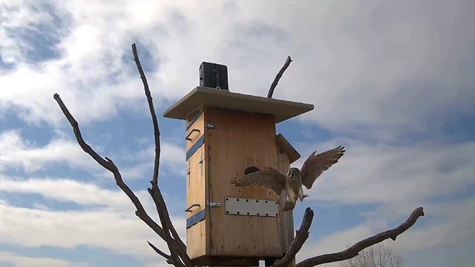 690 mx 388 ADJ 19 D Snapshot JPG 690 mx 388 ADJ 19 D Snapshot JPG