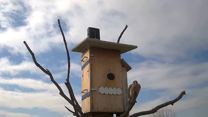 690 mx 388 ADJ 19 E Snapshot JPG 690 mx 388 ADJ 19 E Snapshot JPG