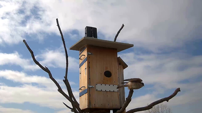 690 mx 388 ADJ 19 F Snapshot JPG 690 mx 388 ADJ 19 F Snapshot JPG