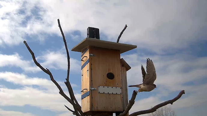 690 mx 388 ADJ 19 H Snapsho JPG 690 mx 388 ADJ 19 H Snapsho JPG