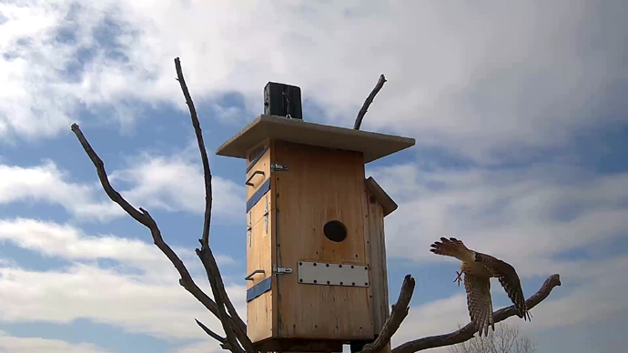 690 mx 388 ADJ 19 I Snapsho JPG 690 mx 388 ADJ 19 I Snapsho JPG