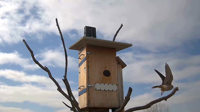 690 mx 388 ADJ 19 J Snapshot JPG 690 mx 388 ADJ 19 J Snapshot JPG