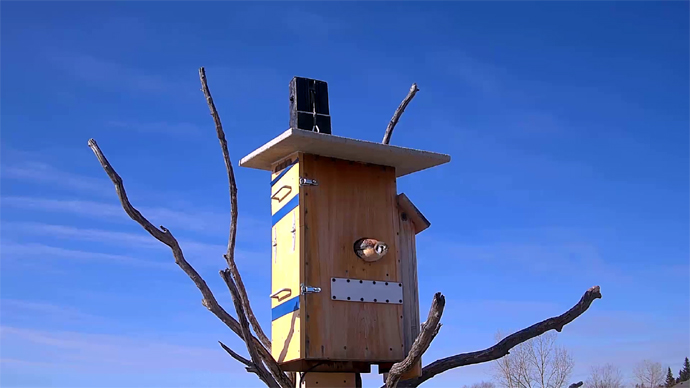 690 x 388 1 Snapshot