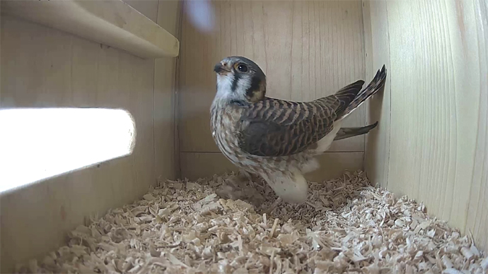 690 x 388 2 17th. Snapshot JPG 690 x 388 2 17th. Snapshot JPG