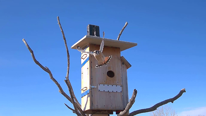 690 x 388 ADJ #10 26 Snapshot JPG 690 x 388 ADJ #10 26 Snapshot JPG