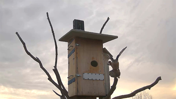 690 x 388 ADJ #13 22 Snapshot JPG 690 x 388 ADJ #13 22 Snapshot JPG