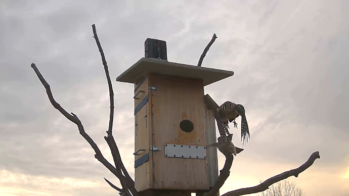 690 x 388 ADJ #14 22 Snapshot JPG 690 x 388 ADJ #14 22 Snapshot JPG