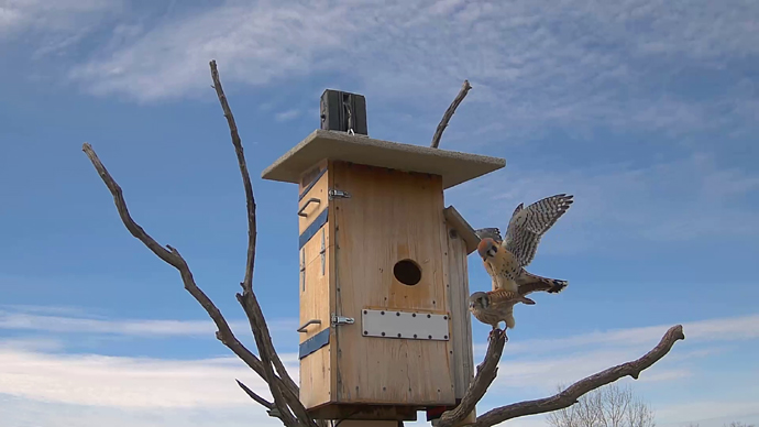 690 x 388 ADJ #15 26 Snapshot JPG 690 x 388 ADJ #15 26 Snapshot JPG