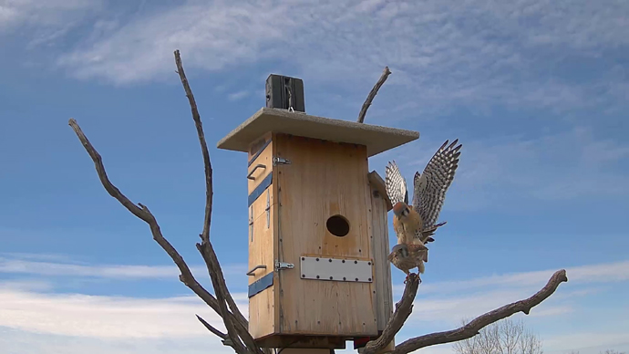 690 x 388 ADJ #16 26 Snapshot JPG 690 x 388 ADJ #16 26 Snapshot JPG