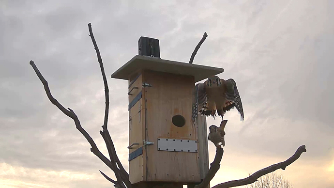 690 x 388 ADJ #17 22 Snapshot JPG 690 x 388 ADJ #17 22 Snapshot JPG