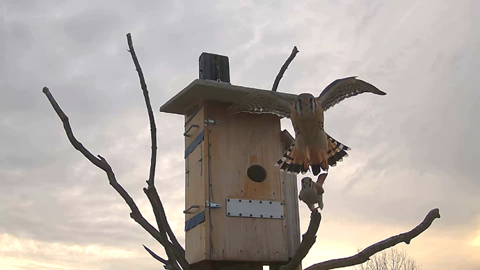 690 x 388 ADJ #18 22 Snapshot JPG 690 x 388 ADJ #18 22 Snapshot JPG