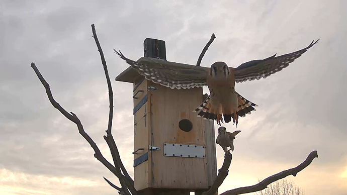 690 x 388 ADJ #19 22 Snapshot JPG 690 x 388 ADJ #19 22 Snapshot JPG