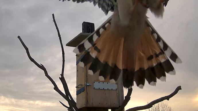 690 x 388 ADJ #23 22 Snapshot JPG 690 x 388 ADJ #23 22 Snapshot JPG