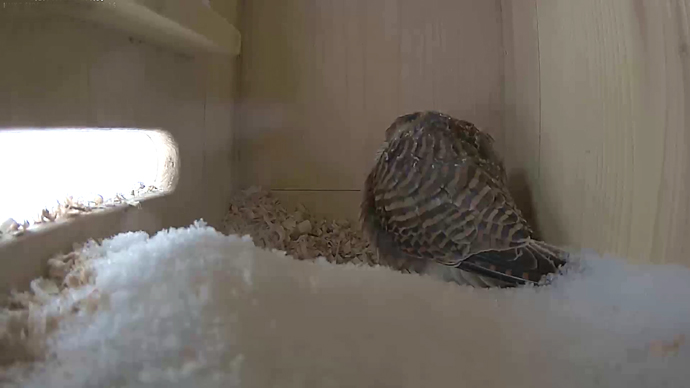 690 x 388 ADJ #23 26 Snapshot JPG 690 x 388 ADJ #23 26 Snapshot JPG