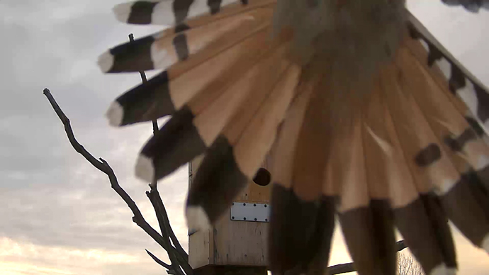 690 x 388 ADJ #24 22 Snapshot JPG 690 x 388 ADJ #24 22 Snapshot JPG