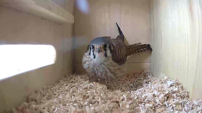 690 x 388 ADJ 3 17th. Snapshot JPG 690 x 388 ADJ 3 17th. Snapshot JPG