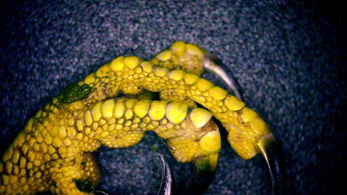 690 x 388 PICT0005 690 x 388 PICT0005