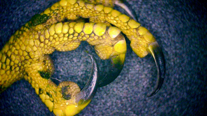 690 x 388 PICT0006 690 x 388 PICT0006