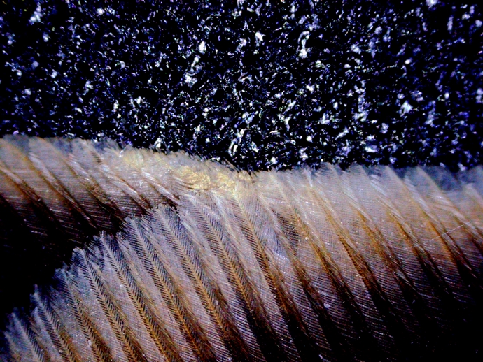 690 x 518 ADJ PICT0007 690 x 518 ADJ PICT0007