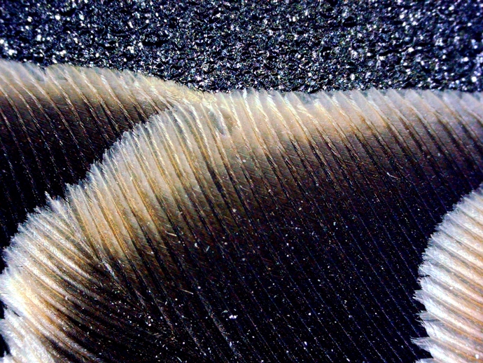 690 x 518 PICT0005 (2) 690 x 518 PICT0005 (2)