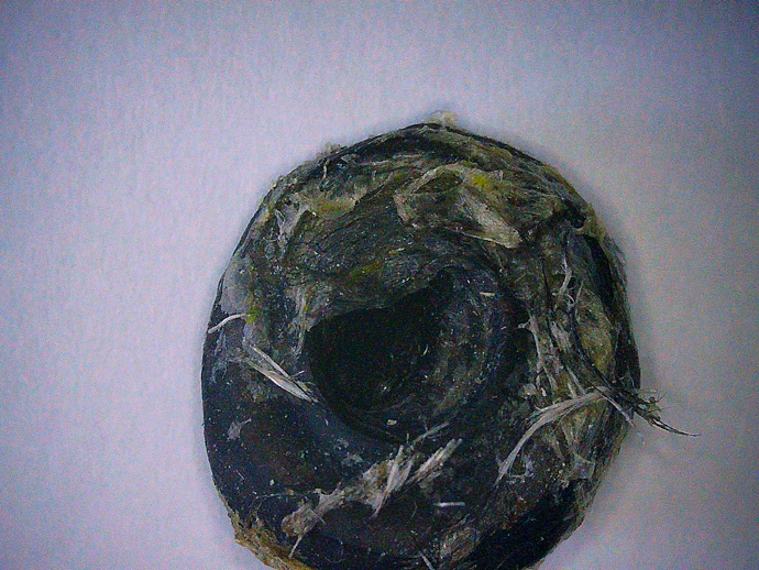 690 x 518 PICT0020 690 x 518 PICT0020