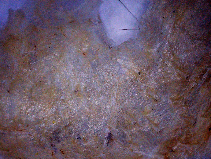 690 x 518 PICT0022 690 x 518 PICT0022