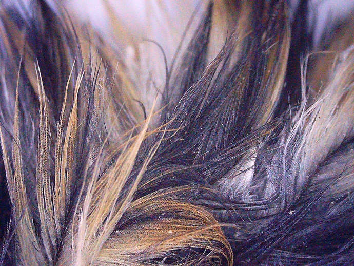 690 x 518 PICT0023 690 x 518 PICT0023