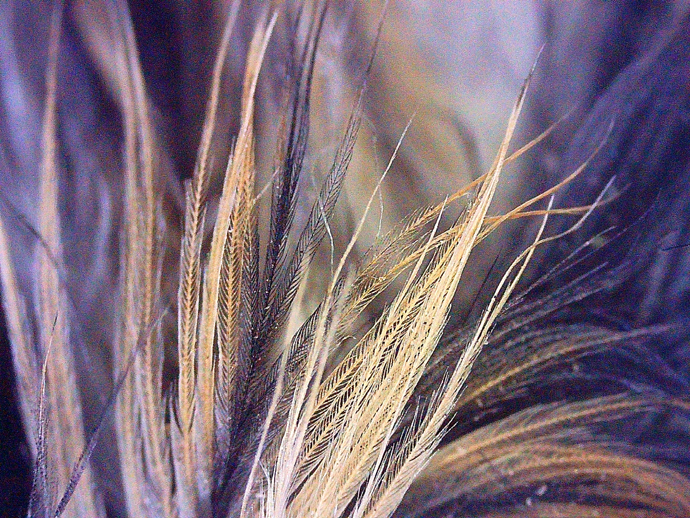 690 x 518 PICT0024 690 x 518 PICT0024