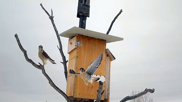 6 COP Sequence 01.Still034 6 COP Sequence 01.Still034