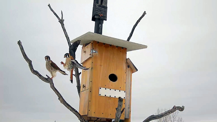 7 COP Sequence 01.Still035 7 COP Sequence 01.Still035