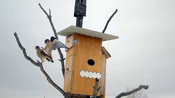 8 COP Sequence 01.Still036 8 COP Sequence 01.Still036